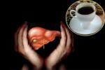 Hepatic Cancer treatment, Heavy Drinkers, coffee consumption helps in protecting boozers livers, Coffee benefits