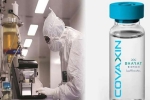 Coronavirus vaccine, Coronavirus vaccine, covaxin india s 1st covid 19 vaccine to get approval for human trials, Kung