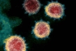 Coronavirus breaking news, Coronavirus latest updates, face covid 26 and covid 32 warns experts, Coronavirus origin