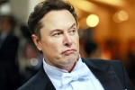 India, Elon Musk, elon musk s india visit delayed, Trip