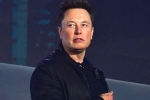 Elon Musk latest, Elon Musk, elon musk talks about cage fight again, Snack