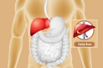 Fatty Liver news, Fatty Liver symptoms, dangers of fatty liver, Just