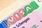 Schengen visa for Indians, Schengen visa for Indians 2024, indians can now get five year multi entry schengen visa, Men