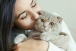 cats pets, cats pets, international cat day reasons why being a cat owner is good for health, Cat owner