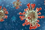 China Covid Row review, China Covid Row reports, new china coronavirus variant traced in india, Omicron