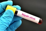 Nipah Virus, Nipah Virus - Kerala, nipah virus is back again two deaths registered, World health organization