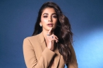 Pooja Hegde, Pooja Hegde new films, pooja hegde lines up bollywood films, Away