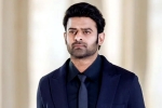 Prabhas pan Indian film, People Media Factory, new updates of prabhas and maruthi film, Comedy