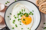cholesterol, cholesterol, top 5 benefits of eggs that ll make you to eat them every day, Breakfast