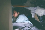 home remedies for good sleep, how to get to sleep when you can't, are you a night owl this one trick can help advance sleep time by 2 hours, Turner