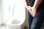 Urinary tract infection breaking, Urinary tract infection news, urinary tract infection and the impacts, Bacteria