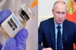 antibodies, antibodies, russia launched the first covid 19 vaccine how it works, Eyebrows