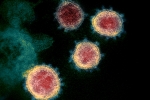 Mu variant latest, Mu Coronavirus, one more new variant of coronavirus traced in columbia, Anthony fauci