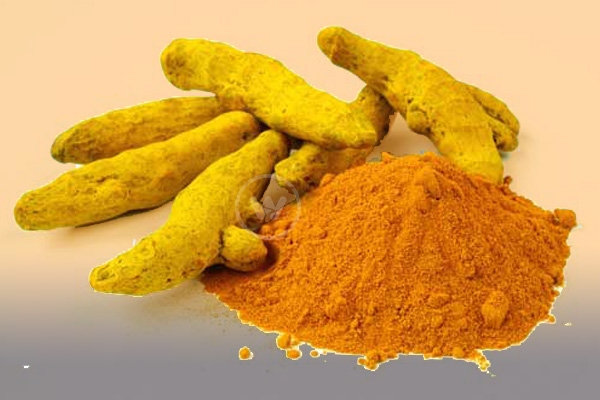 Cervical Cancer and Oral Cancer may be prevented by Turmeric!},{Cervical Cancer and Oral Cancer may be prevented by Turmeric!